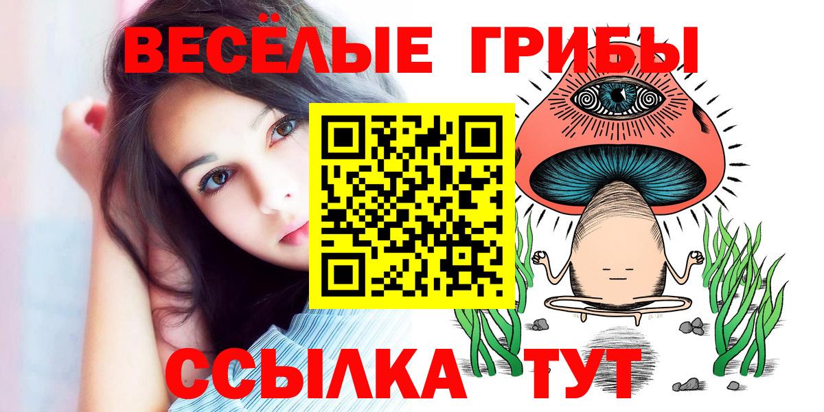 Псилоцибиновые грибы Psilocybe Тольятти