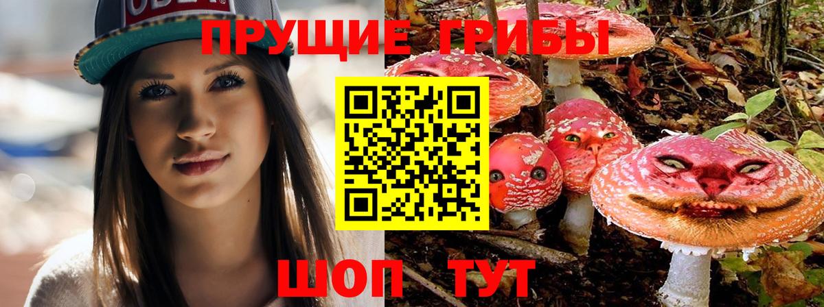Тольятти  Галлюциногенные грибы мухоморы  Вход с VPN 